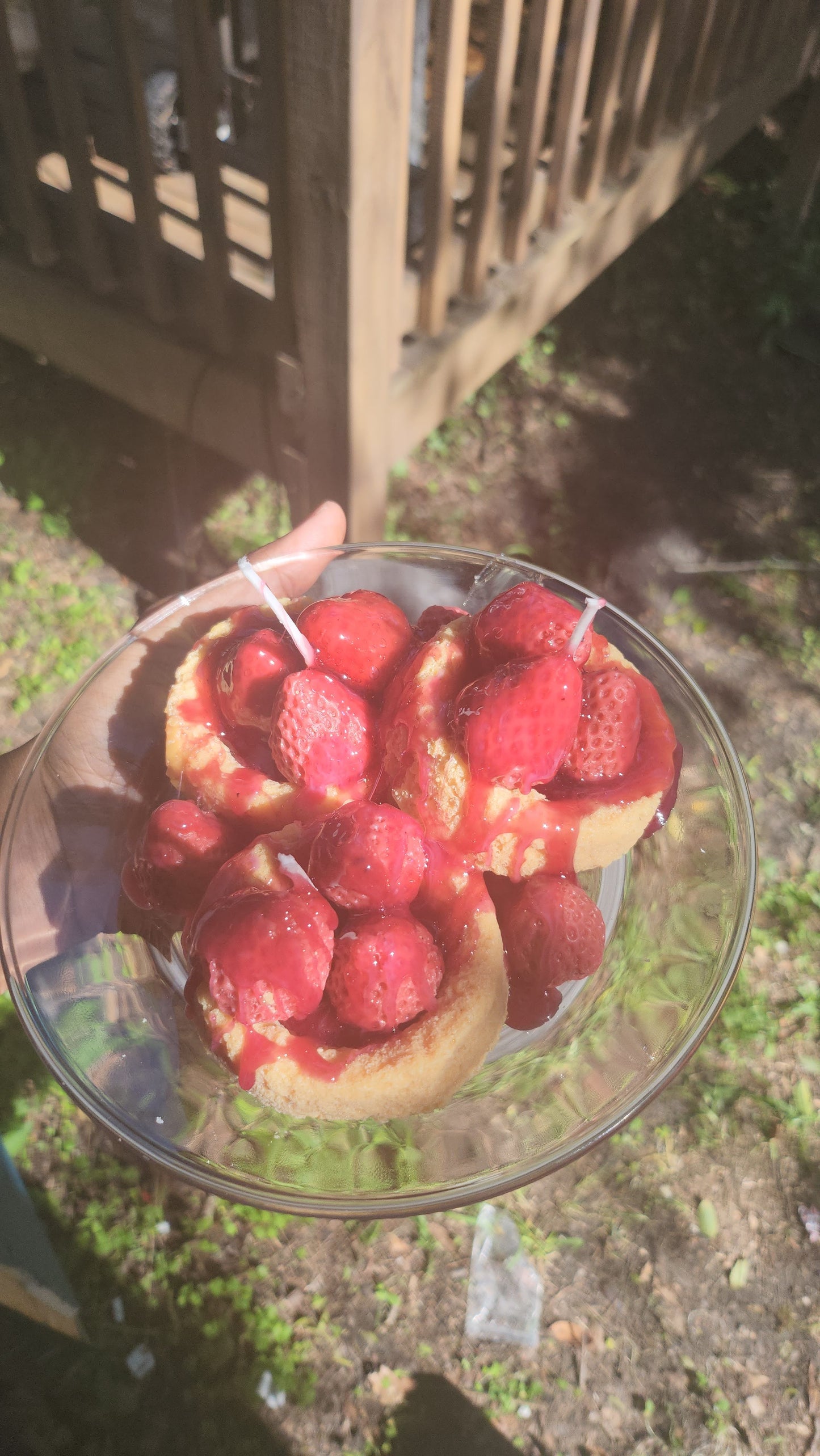Shortbread strawberry Waxmelts
