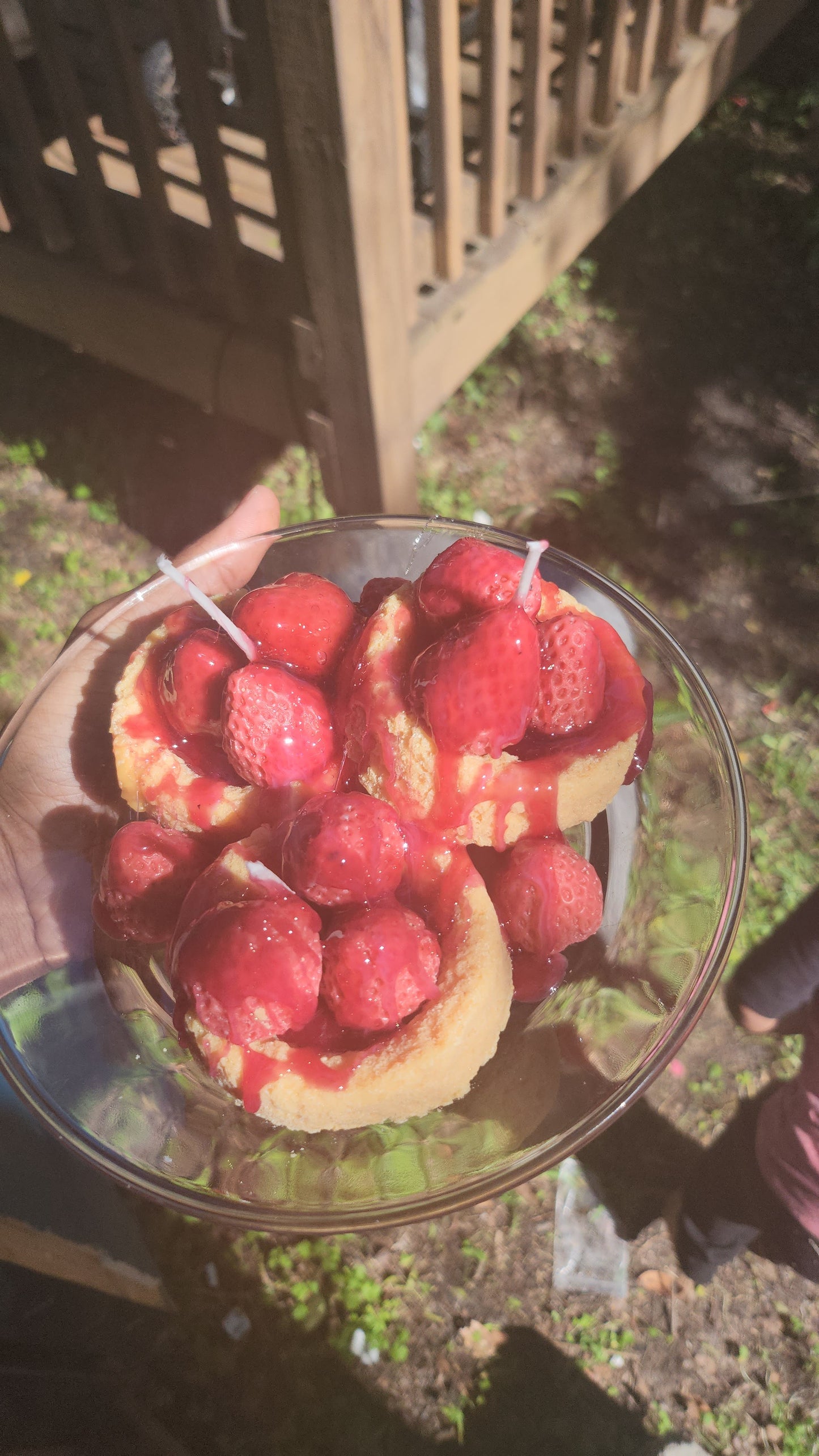 Shortbread strawberry Waxmelts